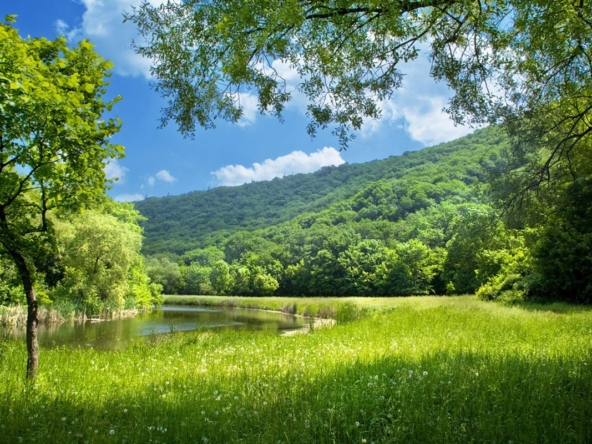 Toprak tüm zamanların en karlı yatırım aracıdır.