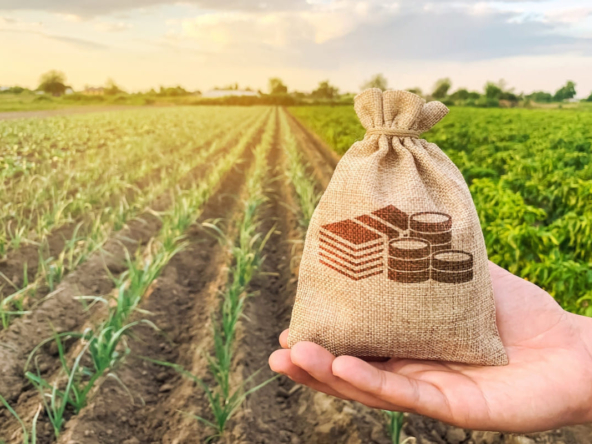 Cazip Seçeneklerle Taksitli Arsa, Arsaofisi.Com’da