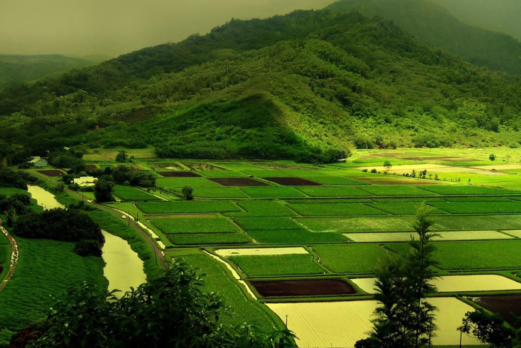 Şimdi Arsa Yatırımı Yapın, Her Zaman Kazançlı Çıkın…