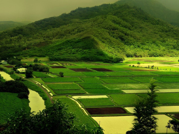 Şimdi Arsa Yatırımı Yapın, Her Zaman Kazançlı Çıkın…