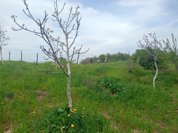 Çanakkale Yenice